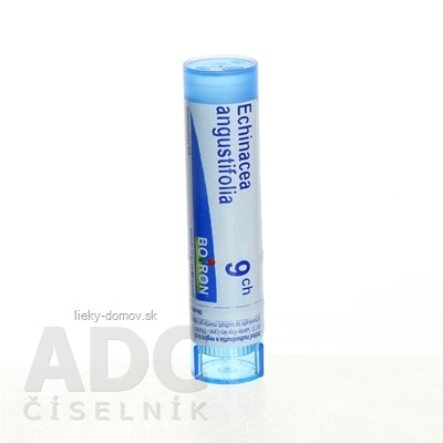 ECHINACEA ANGUSTIFOLIA GRA HOM CH9 1x4 g