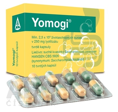 Yomogi cps dur 250 mg (blis.PVC/PE/PVDC/Al) 1x10 ks