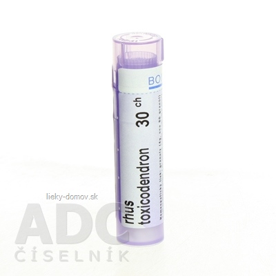RHUS TOXICODENDRON GRA HOM CH30 1x4 g