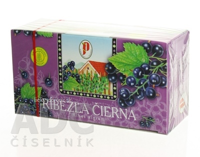 AGROKARPATY RÍBEZĽA ČIERNA ovocný čaj, 20x2 g (40 g)