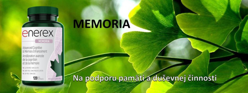 enerex memoria