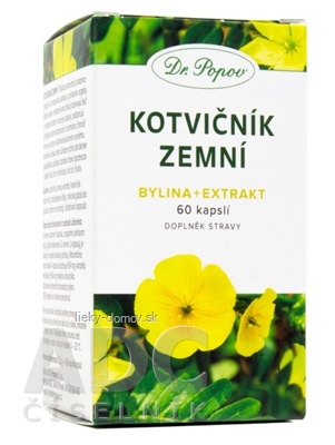 Dr. Popov KOTVIČNÍK ZEMNÝ cps (bylina - extrakt) 1x60 ks