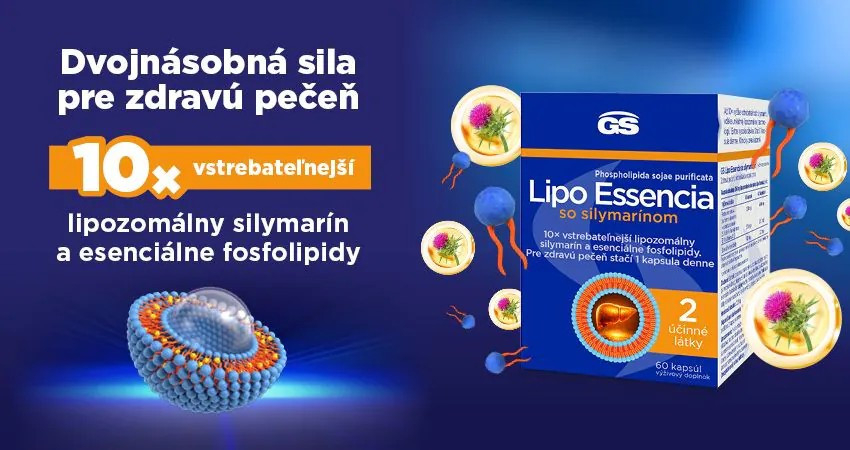 gs lipo essencia